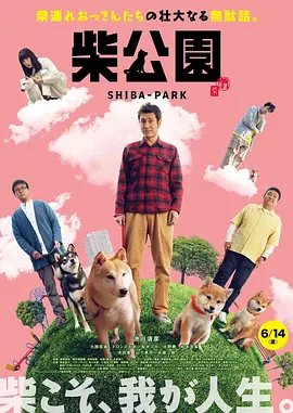 少妇超碰在线