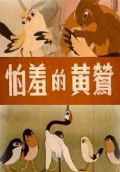 亚洲精品在线观