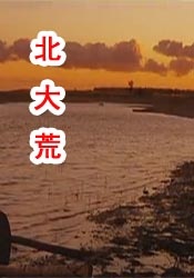 国产在线精品一区二区中文