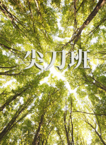 天天干小说